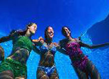 Girls in the Pool Girls in the Pool